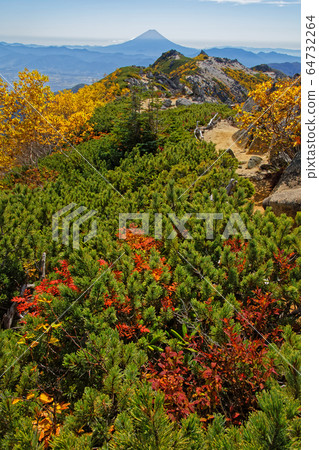 Yakushidake and Mt. Fuji seen from the foliage of the red phoenix Sanzan and Kannondake ridge 64732264
