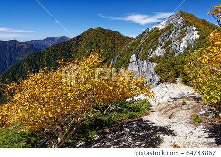 從鳳凰山山脊的秋葉中看到的早川山脊和千疊岳 64733867
