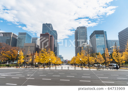Buildings in Tokyo with autumn leaves Buildings in Tokyo with autumn leaves 64733909