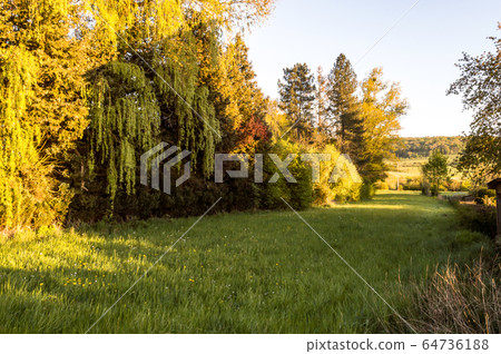 Landscape of meadow and trees in Gaume 64736188