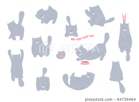 Cat vector illustration. Set cartoon cats flat Cat vector illustration. Set cartoon cats flat 64736464