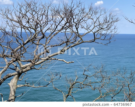 海 64736967