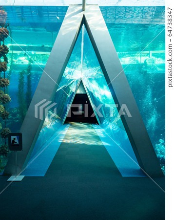 Tunnel shooting permission / cooperation: Aquamarine Fukushima 64738347