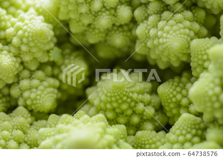 Roman cauliflower isolated on white background, it Roman cauliflower isolated on white background, it 64738576