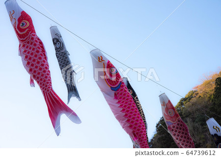 梅的特色詩在天上飛 64739612