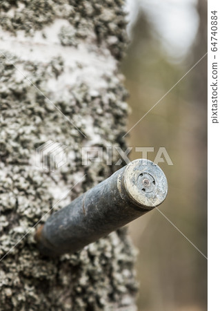 an old used large caliber cartridge case protrudes from an old used large caliber cartridge case protrudes from 64740884