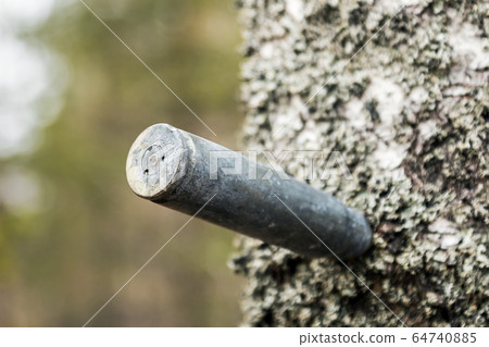 an old used large caliber cartridge case protrudes from an old used large caliber cartridge case protrudes from 64740885