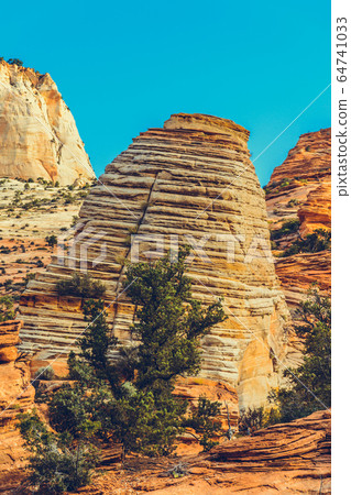 Zion National Park, Utah, USA 64741033
