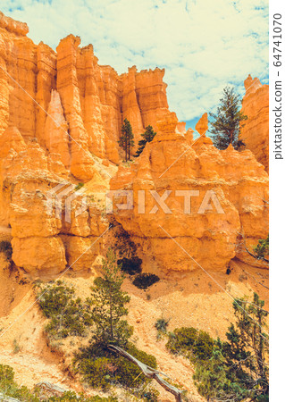 Bryce Canyon National Park, Utah, USA 64741070