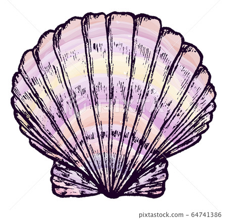 Sea shell. Inc. Sketch markers. Sea shell. Inc. Sketch markers. 64741386