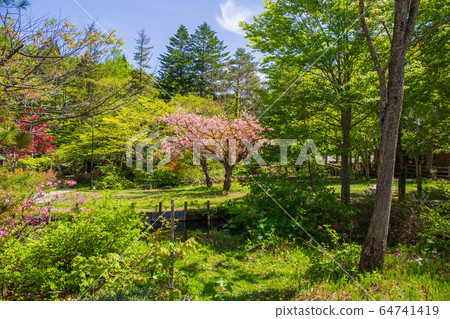 新鮮的綠色津田溫泉 64741419