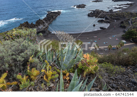 Tropical cactus garden and black sand beach at Los 64741544