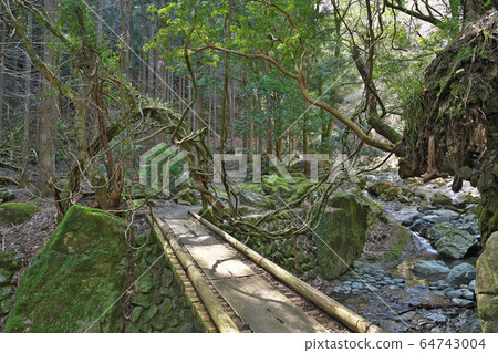 [川上山若宮八man神社（三木瀑布）]三重縣津市三杉町川上 64743004