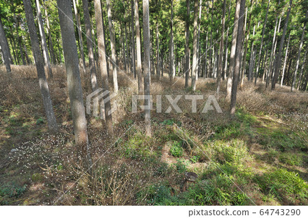 [Mitsumata colony] Ishinahara, Misugi Town, Tsu City, Mie Prefecture 64743290