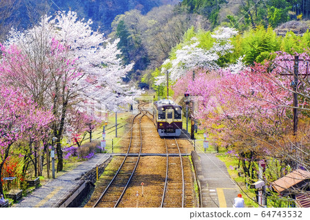 Flower peach and local train 64743532