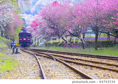 Kamo and local train 64743534