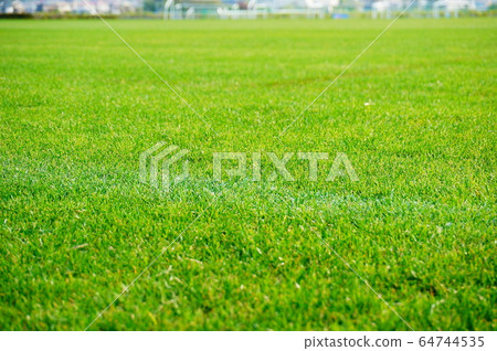 綠草足球場 綠草足球場 64744535