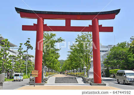 Tsuruga Torii Summer New Green Tsuruoka Hachimangu, Kamakura City, Kanagawa Prefecture Tsuruga Torii Summer New Green Tsuruoka Hachimangu, Kamakura City, Kanagawa Prefecture 64744592