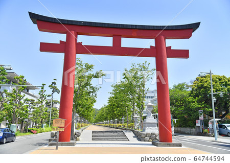 神奈川縣鎌倉市Tsuruga Torii夏季新綠色鶴岡八man宮 64744594