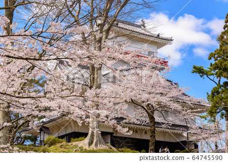 Castles and cherry blossoms 64745590