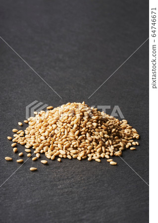 White sesame (black background) 64746671