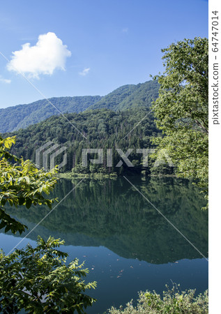 Samurai dam 64747014