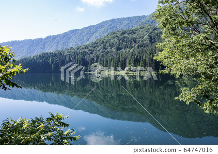 Samurai dam 64747016