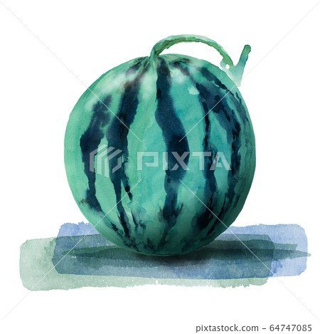 Watermelon watercolor 64747085