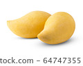 Mango fruit [mangifera indica] close up 64747355