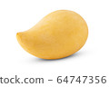 Mango fruit [mangifera indica] close up 64747356