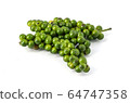 Fresh piper nigrum isolated 64747358