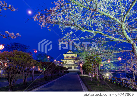 Miyagi Prefecture Toda-gun Wakuya-cho Spring Shiroyama Park Blooming cherry blossoms and light up 64747809