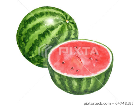Watermelon watercolor illustration Watermelon watercolor illustration 64748195