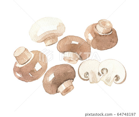 Mushroom Mushroom 64748197