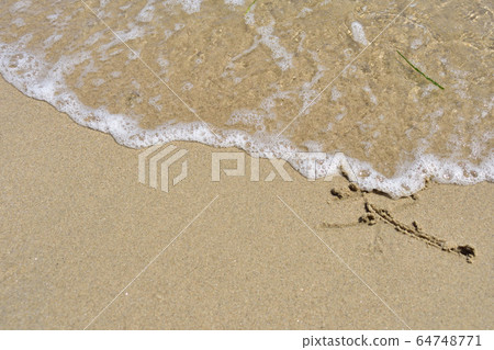 Beach Beach 64748771