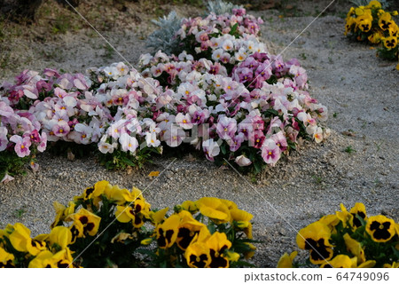 Spring flowers part 4 64749096