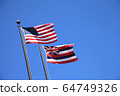 Hawaii State Flag 64749326