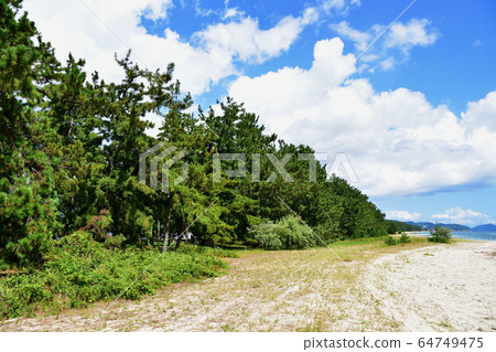 天橋立及周邊風景 天橋立及周邊風景 64749475