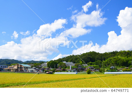 Paddy field scenery around the Aso Sea Paddy field scenery around the Aso Sea 64749771