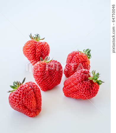 Strawberries (from Niigata) / Strawberries Strawberries (from Niigata) / Strawberries 64750046