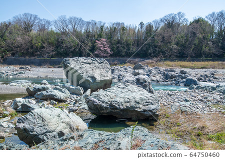 Yorii Tamayodo Suitengumae Tamayodogawara Yorii Town, Saitama Prefecture 64750460