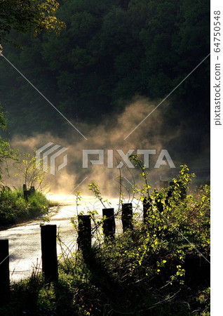 Road in the mountains after rain where mist can enter Road in the mountains after rain where mist can enter 64750548