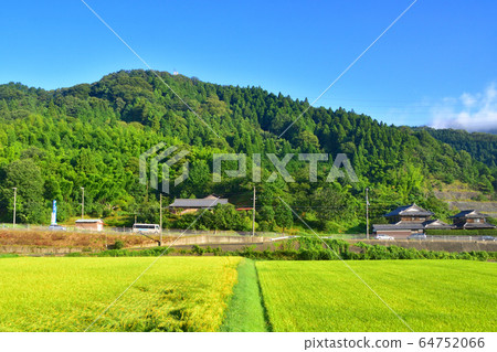 奧巴馬線的窗戶和風景 64752066