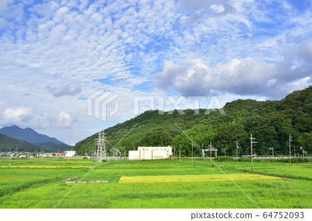 奧巴馬線的窗戶和風景 64752093