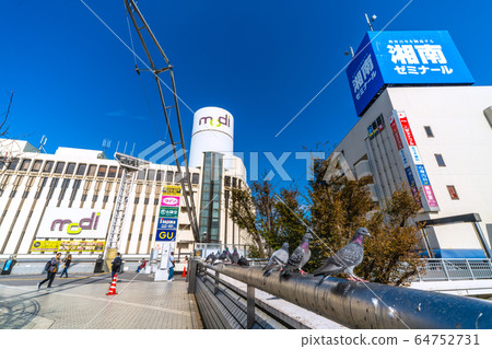 Yokohama cityscape in Japan Pigeons gathering in front of the station square = Totsuka station square in Yokohama city Yokohama cityscape in Japan Pigeons gathering in front of the station square = Totsuka station square in Yokohama city 64752731