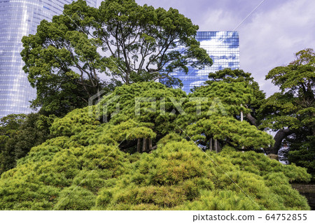東京和平區濱濱立花園 64752855