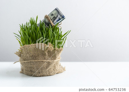 Sprouted grass and bound hundred dollar bill Sprouted grass and bound hundred dollar bill 64753236