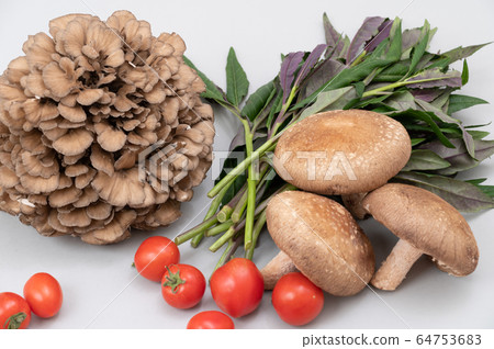Kaga vegetables, thick cucumber, maitake, medium tomato, Kintokusa Kaga vegetables, thick cucumber, maitake, medium tomato, Kintokusa 64753683