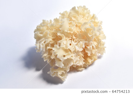 Mushrooms Mushrooms 64754213