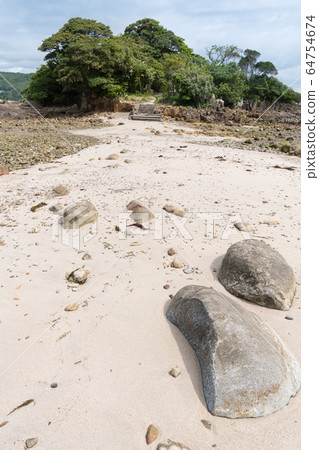 黑田的附庸 黑田的附庸 64754674